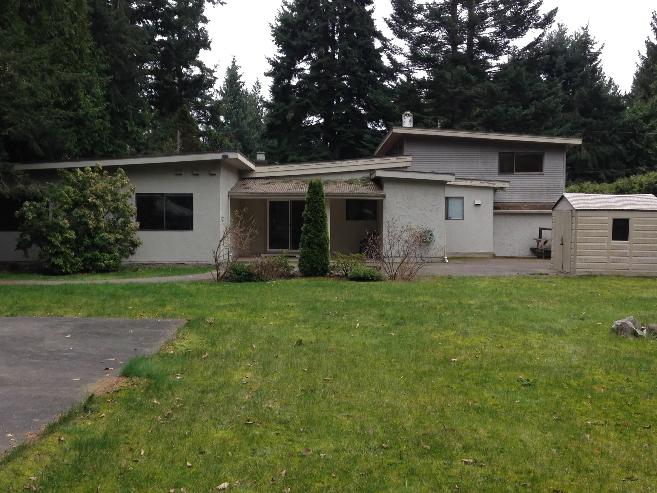 Pre-renovation rear exterior showing the dated grey stucco split-level home with small windows and patchy lawn.