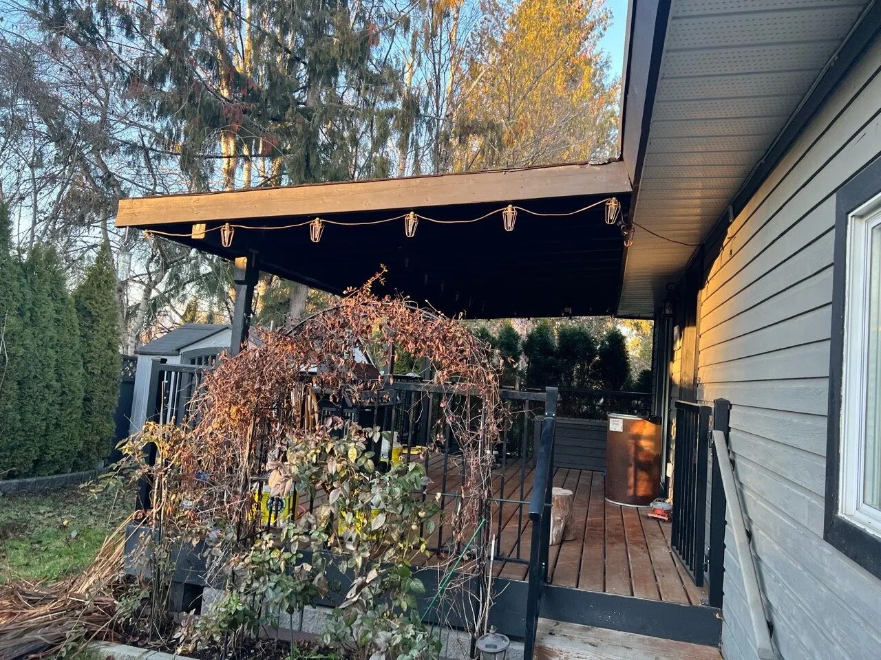 Existing covered back porch before construction, bare weathered decking and an overgrown climbing vine.