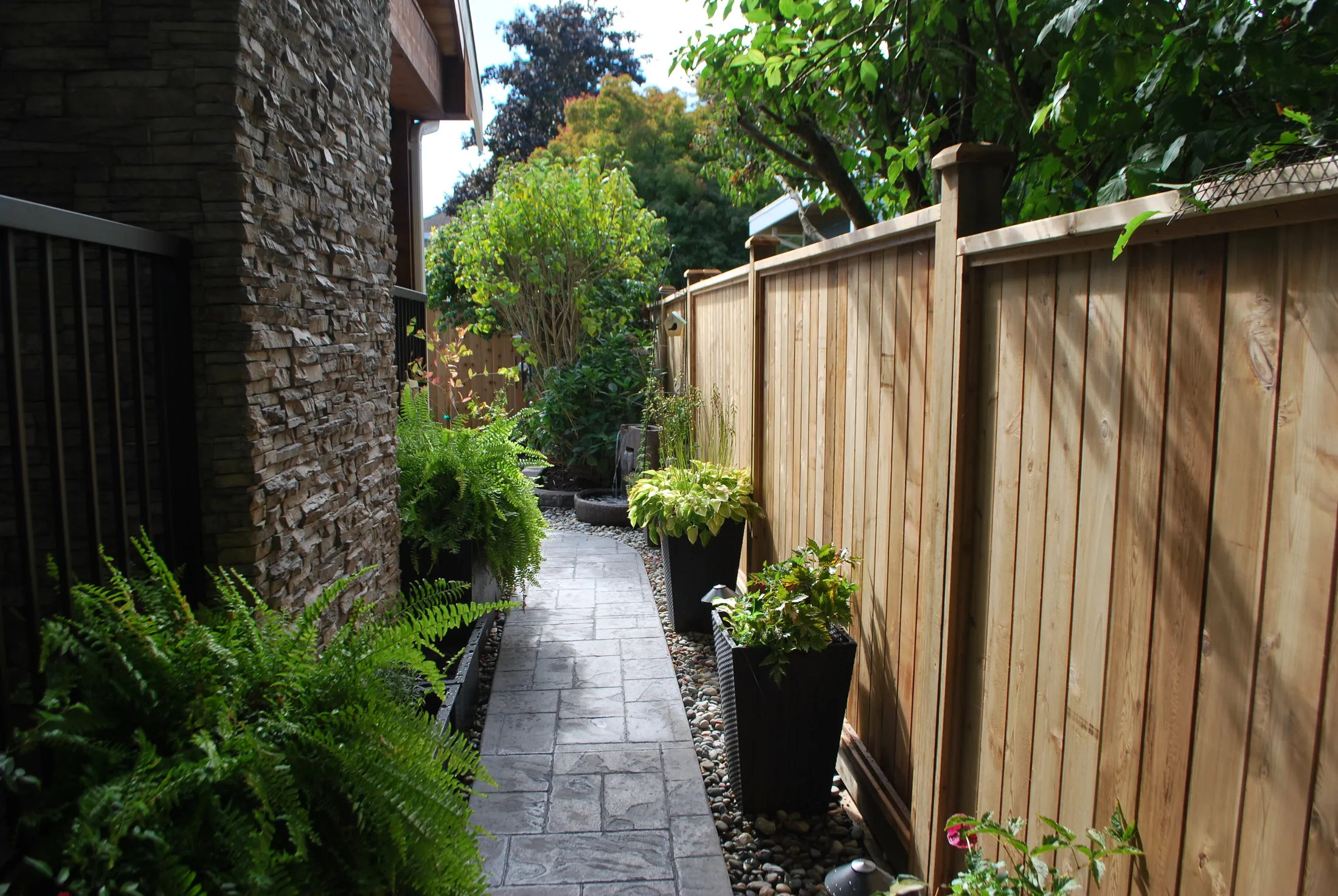 Stone-paved side yard path between the stacked-stone wall and cedar fence, lined with ferns and hostas.