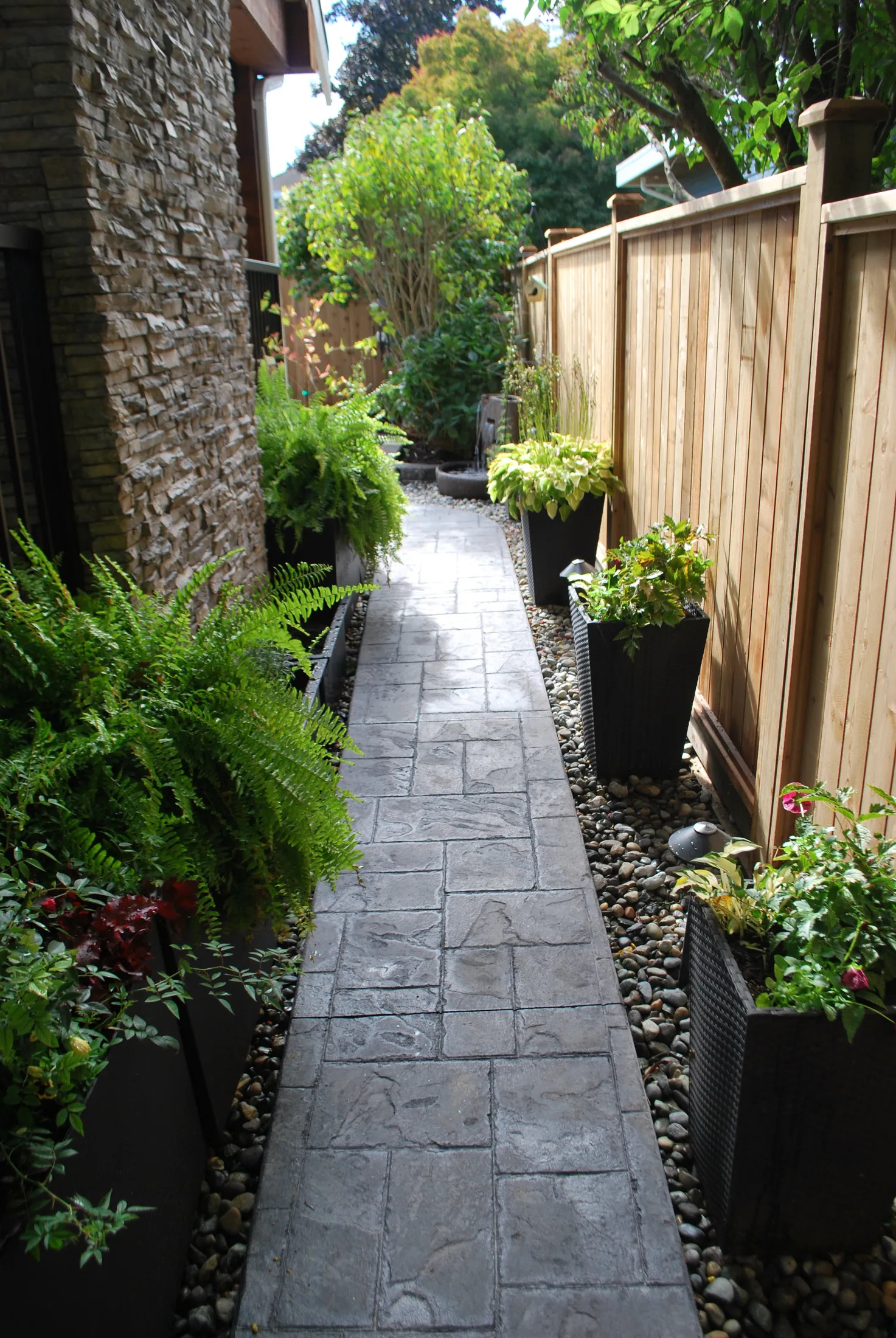 Side yard walkway lined with flowering shrubs and fern planters, leading past a small tiered water feature.